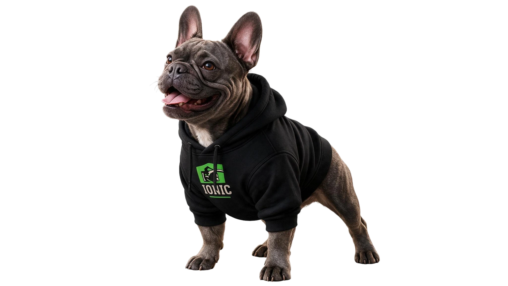 Ionic bulldog mascot wearing an Ionic Estate Sales branded hoodie